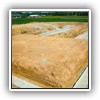 Excavating Foundations & Basements